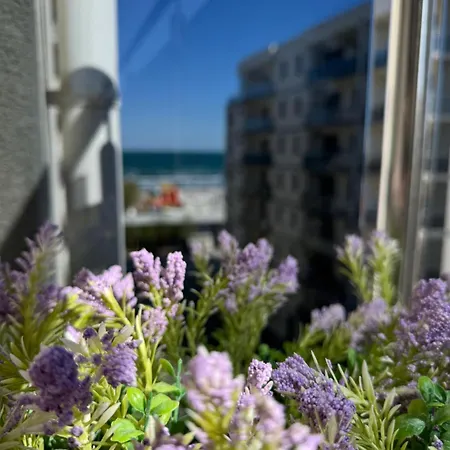 Yzy Seaside Mamaia Nord Appartamento